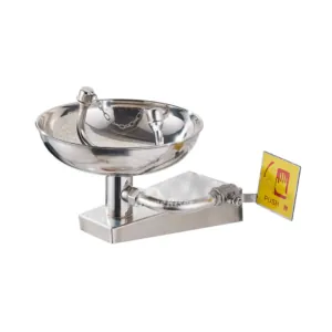 Mounted Eye Washer